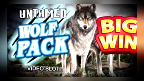 745% Match at a casino at Spinit Casino
