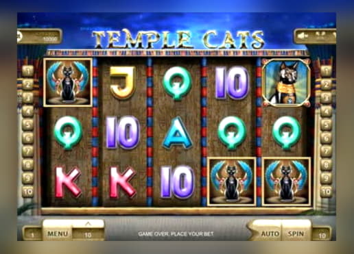 225% Deposit match bonus at Mrgreen Casino