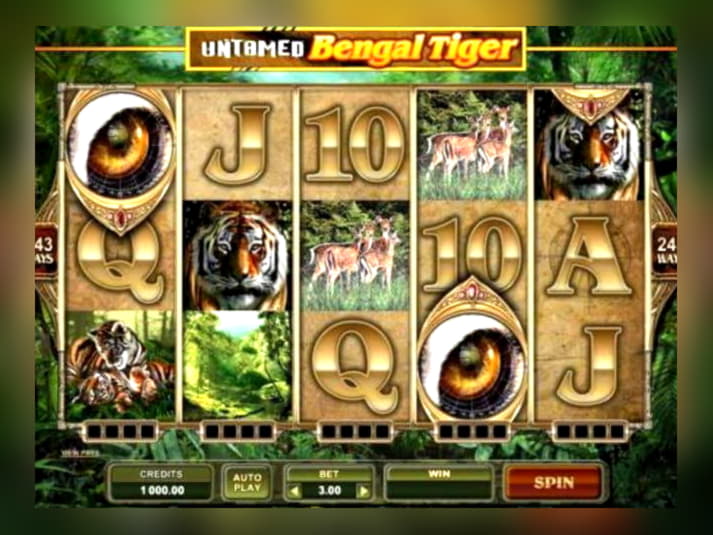 EUR 175 Free chip at Royal Dubai Casino
