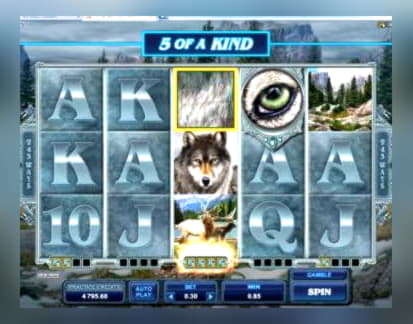 910% Deposit match bonus at Mummys Gold Casino