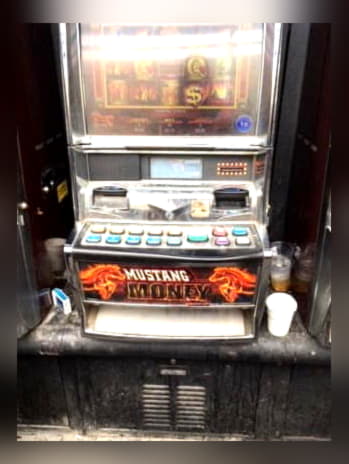 $4310 No Deposit Bonus Casino at Mummys Gold Casino
