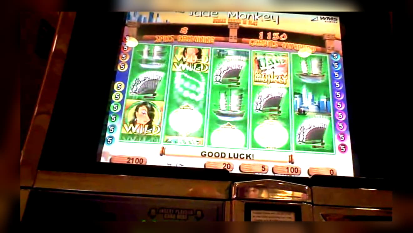 235 free spins casino at LV Bet Casino