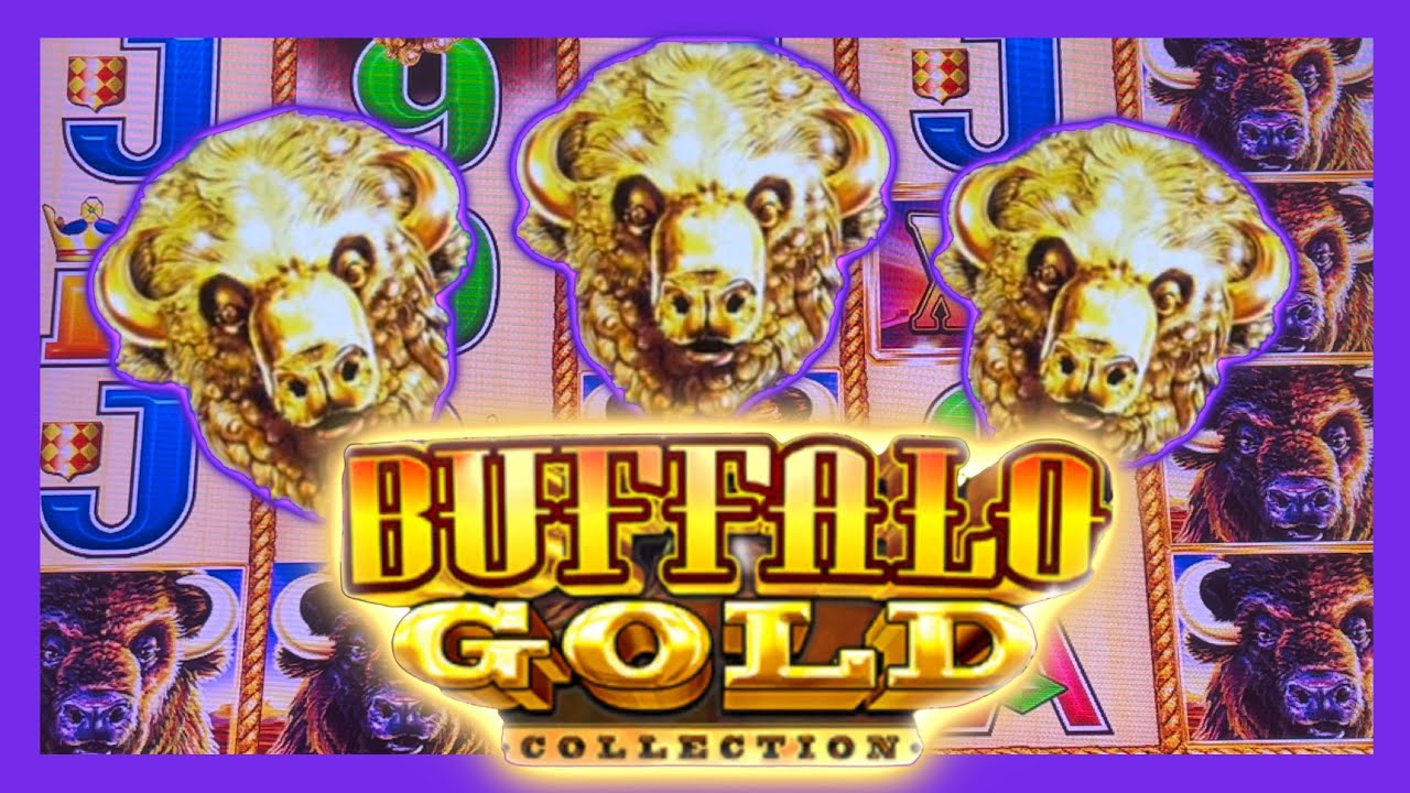 Bonus på Buffalo Gold spilleautomat 😅 Der er tegn på liv 😂