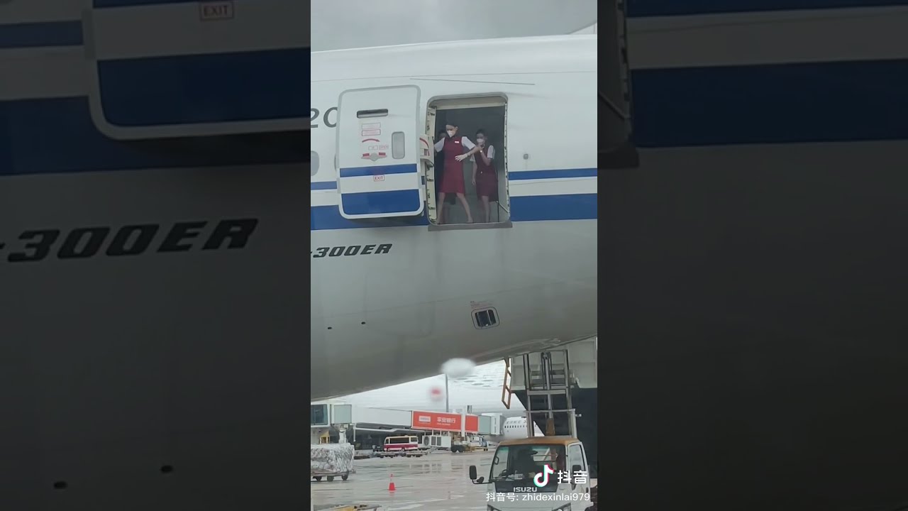 Air hostesses trying to close door ? #shorts