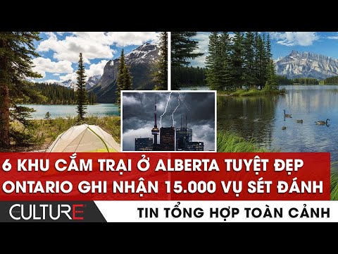 ? Cảnh sát Canada và nhiều cơ quan chính phủ cân nhắc sử dụng Threads | TIN TỔNG HỢP TOÀN CẢNH 17/07