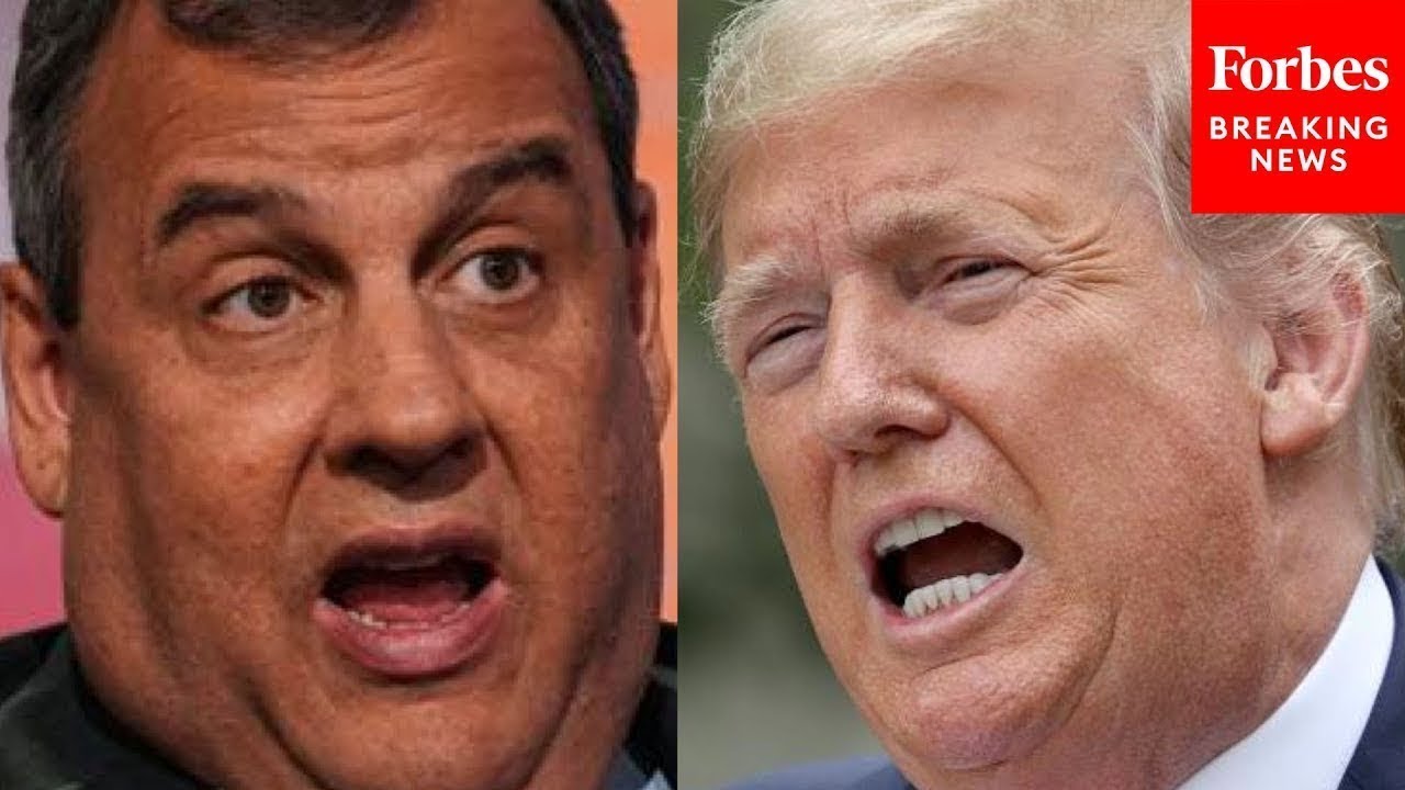 'How Damn Stupid Do You Have To Be?': Chris Christie Unleashes Fury On Trump