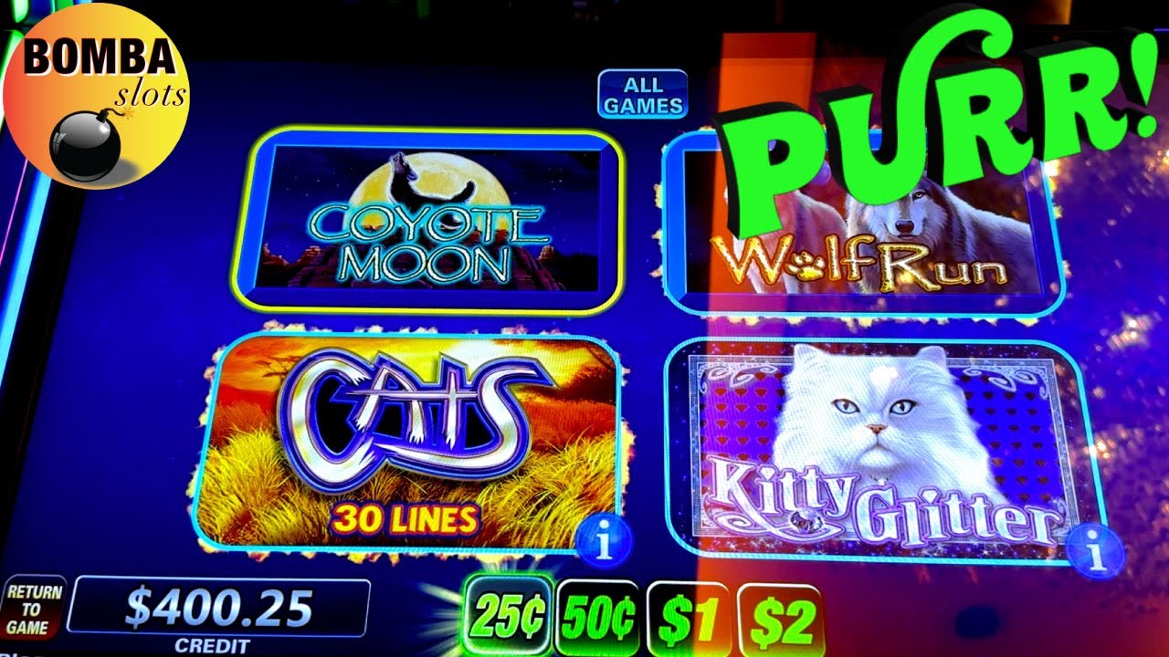 BOMBA THE CAT WHISPERER?!! ? #lasvegas #slotmachine #casino