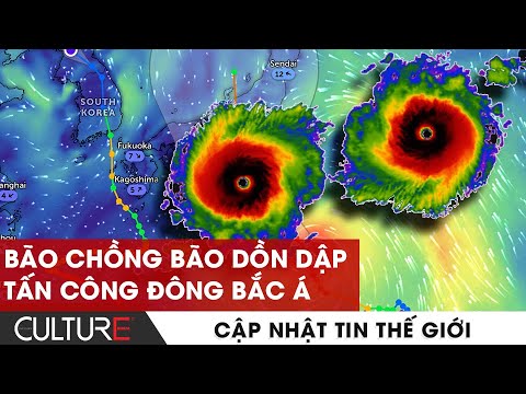 Bão chồng bão dồn dập tấn công Đông Bắc Á || CULTURE NEWS